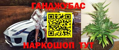 шишки Бузулук